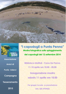 Mostra-fotografica-capodogli-a-Vasto